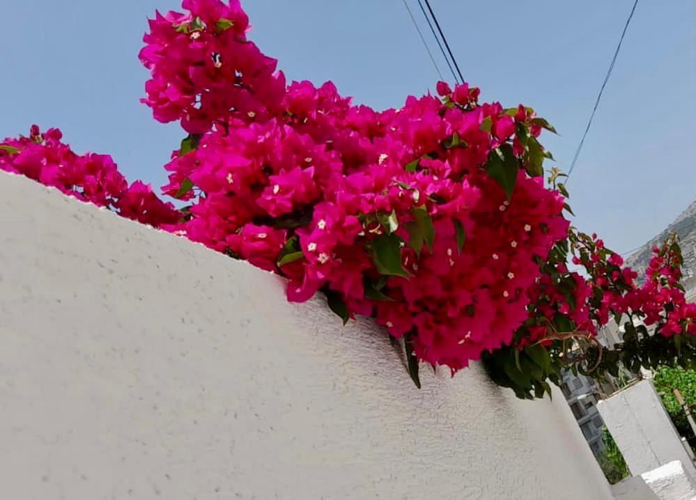 Niko Apartament Vila Sarandë Exterior foto